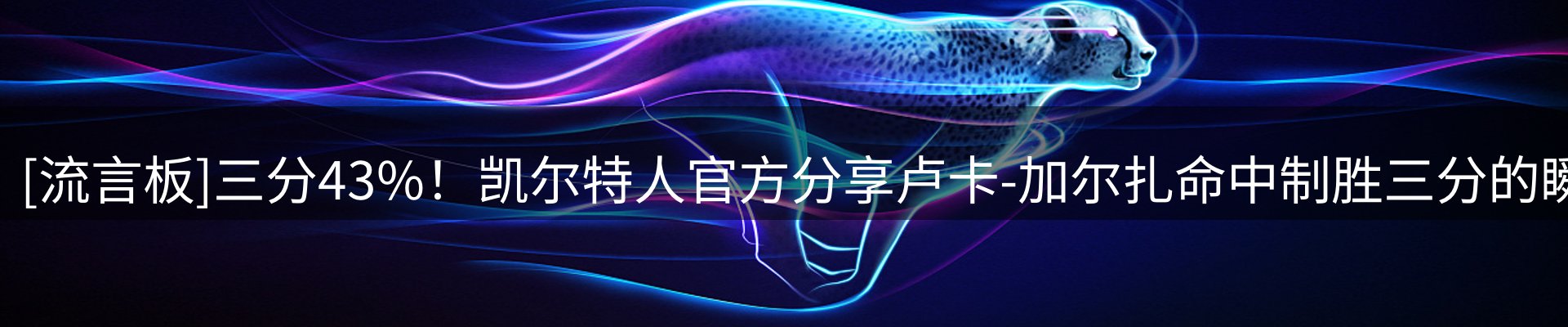 焦点评述